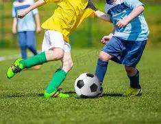 林心如喜收,霍建华爱心,餐车,博业体育平台,博业体育官方网站,博业体育登录入口,博业体育app下载