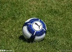 绿意盎然小,屋探秘,体验记,博业体育平台,博业体育官方网站,博业体育登录入口,博业体育app下载