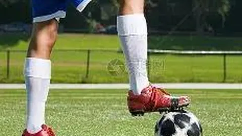 潮州潮宏基金今日市值查询